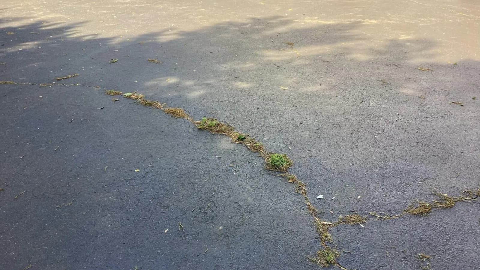 Cracked concrete surface showing structural concern