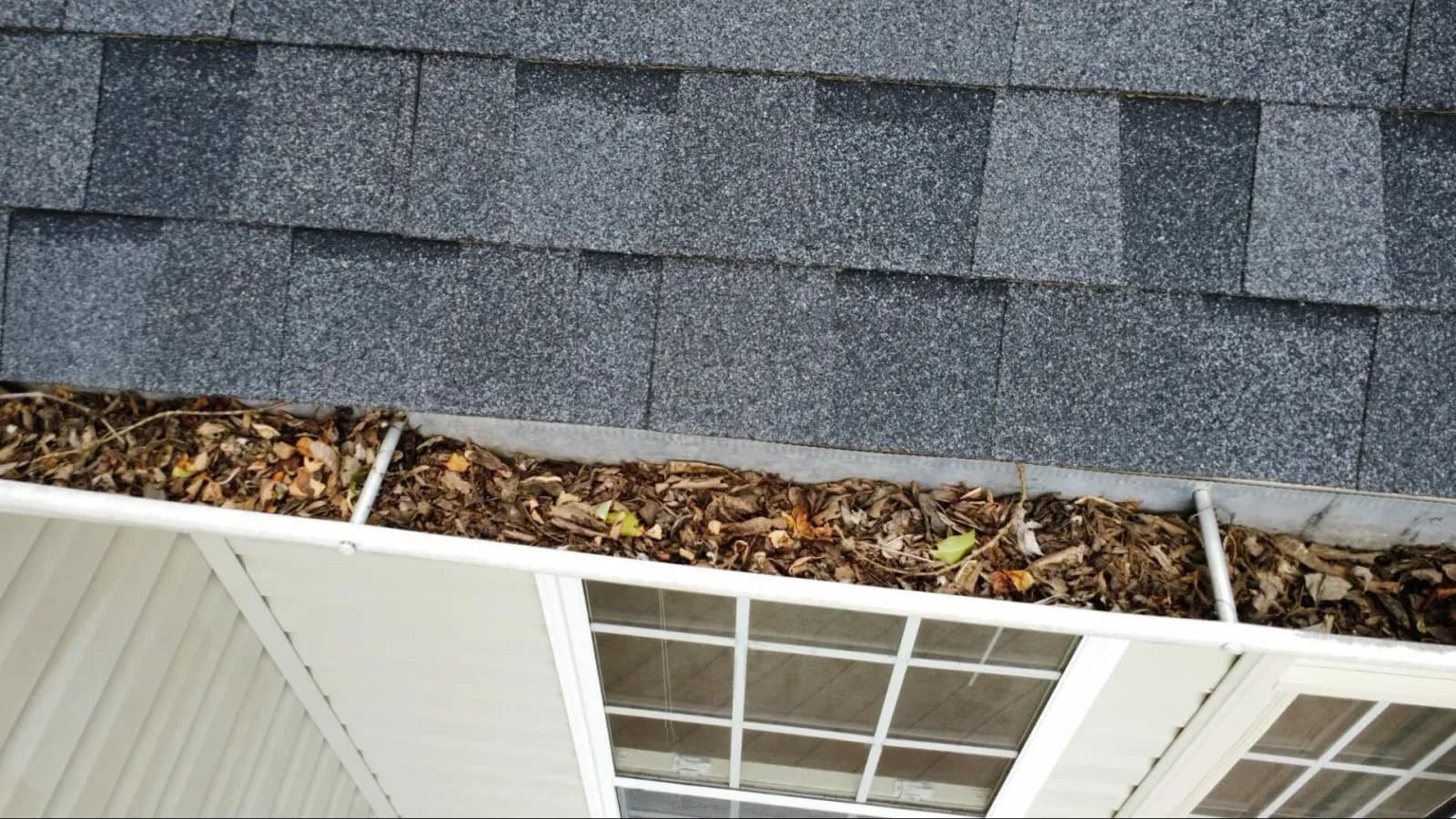 Roof with debris and leaves clogging gutters