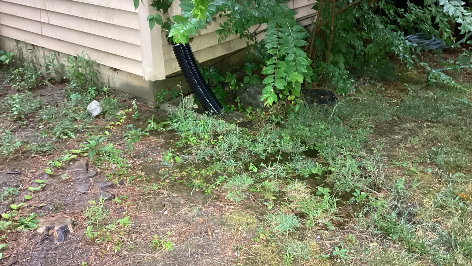 Yard with poor drainage or grading issue